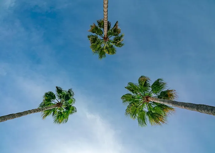 Mi Sueno By Interhome